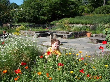 Will in the flowers