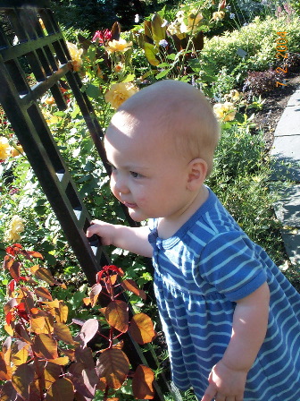 Cruising through the gardens