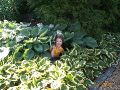 Mommy!  I'm hiding!