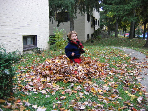 Will in his leaf pile
