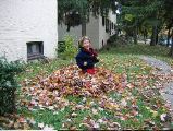 Will in his leaf pile