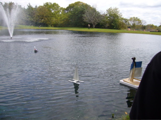 P1050029.JPG