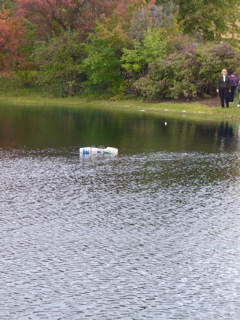 P1050046.JPG
