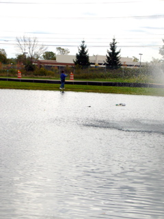 P1050049.JPG