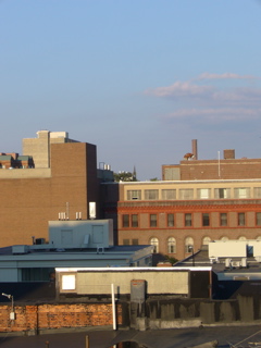 P1030819.JPG