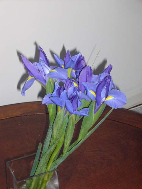 P1050301.JPG
