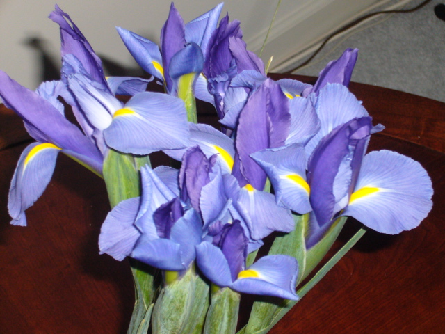 P1050302.JPG