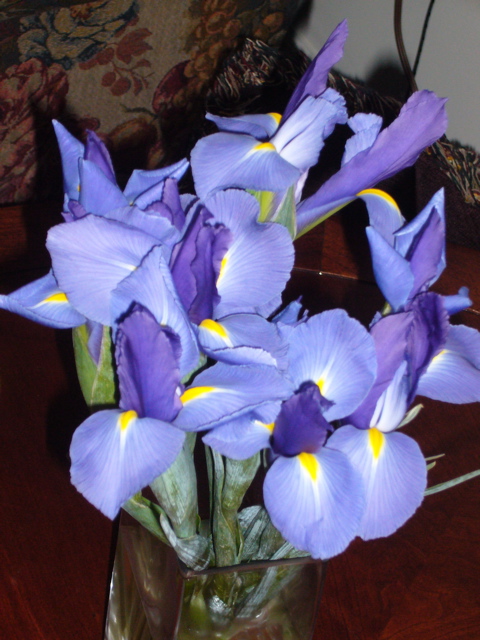 P1050303.JPG