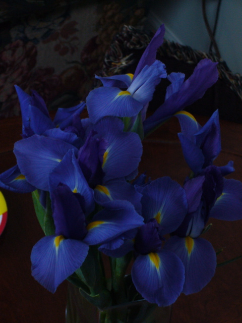 P1050304.JPG
