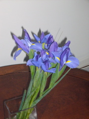 P1050301.JPG