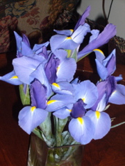 P1050303.JPG