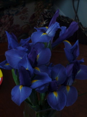 P1050304.JPG