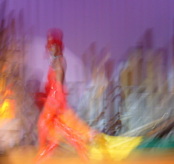 P1050588.JPG
