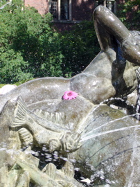 P1080164.JPG