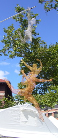P1080165.JPG