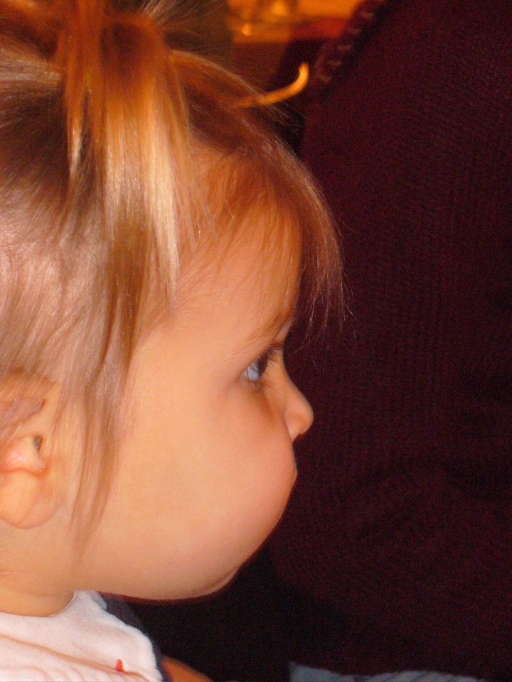 P1090494.JPG