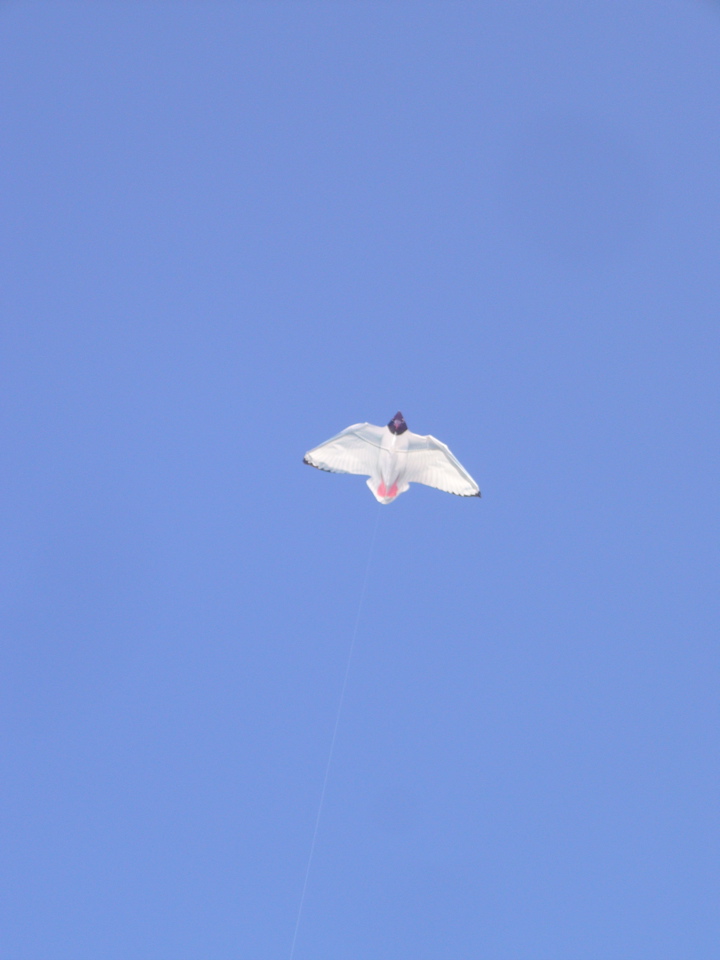 P1080046.JPG