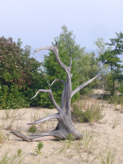 P1080124.JPG