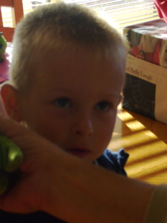 P1080009.JPG