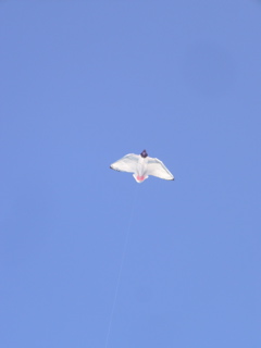 P1080046.JPG