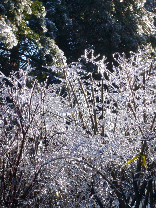 P1060506.JPG