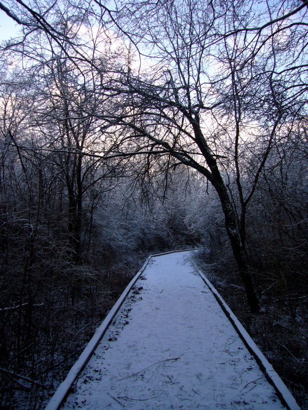P1060520.JPG