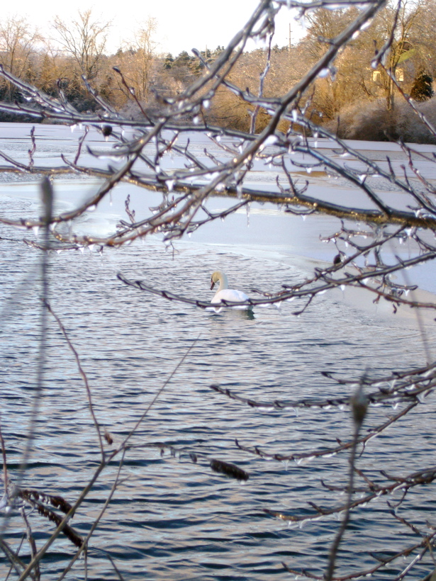 P1060529.JPG