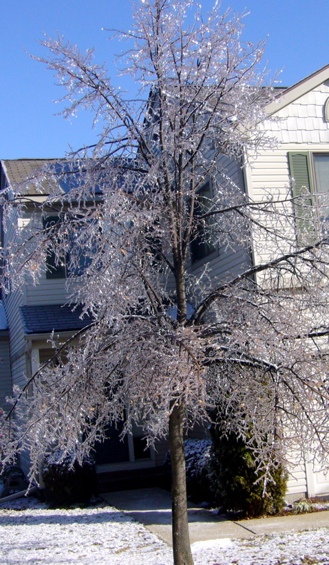 P1060533.JPG