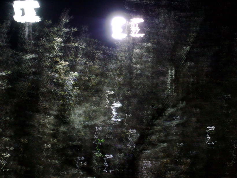 P1060540.JPG