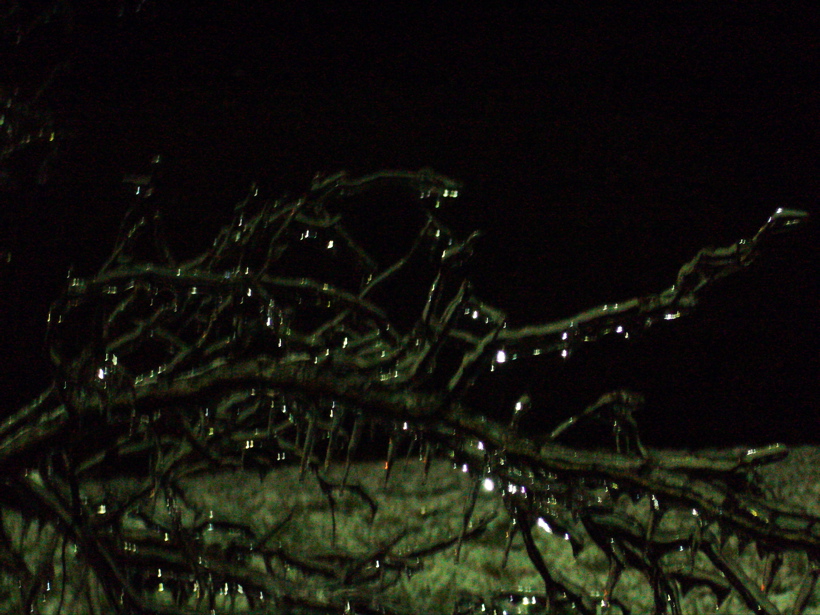 P1060548.JPG