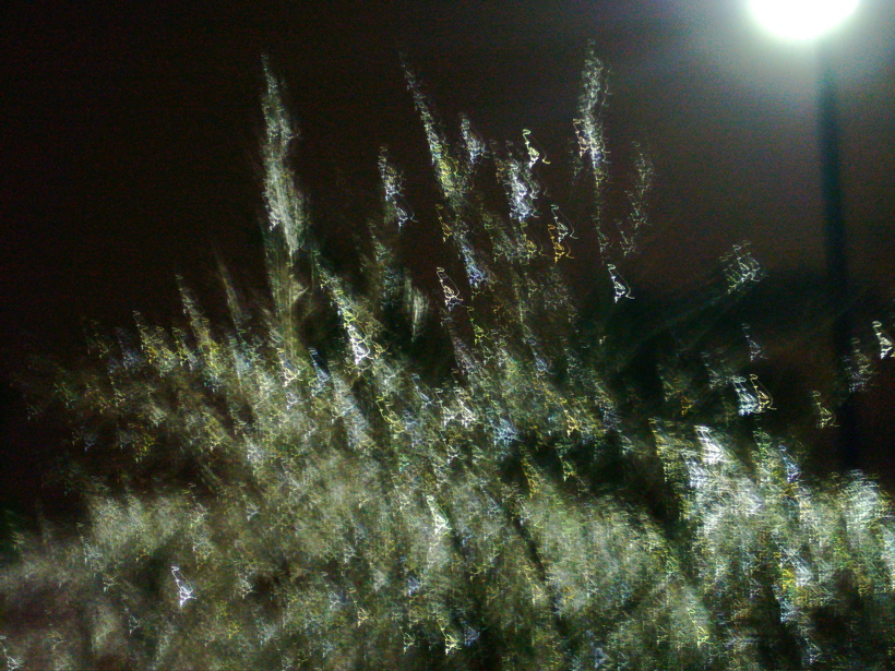 P1060550.JPG