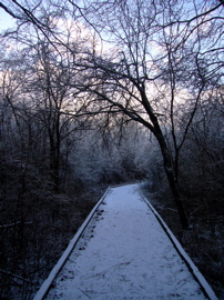 P1060520.JPG
