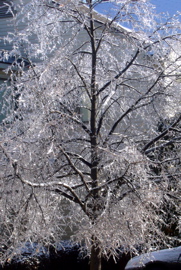 P1060534.JPG