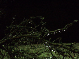 P1060548.JPG