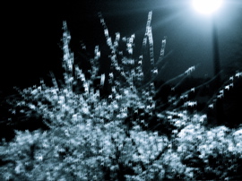 P1060551.JPG