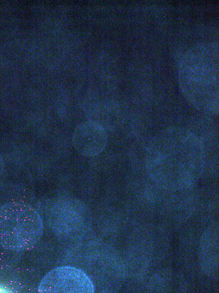P1060765.JPG