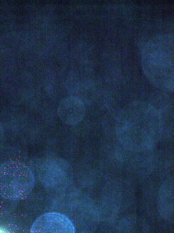 P1060765.JPG