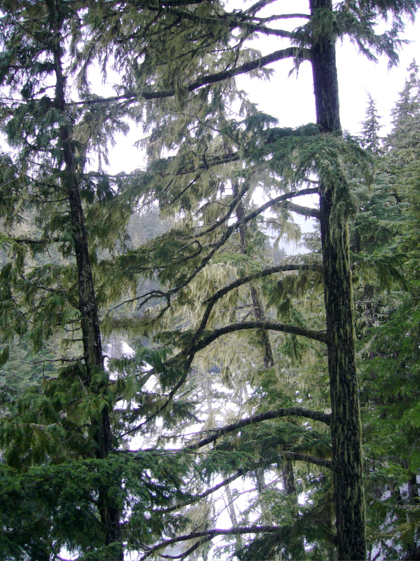 P1070074.JPG