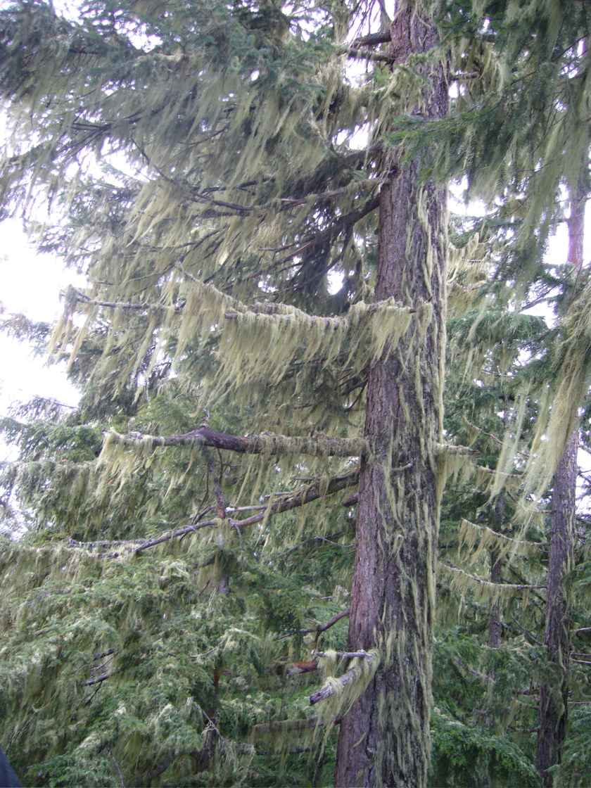 P1070089.JPG