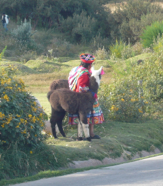 P1010483.JPG