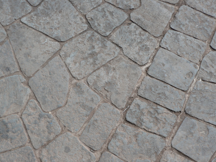 P1010861.JPG