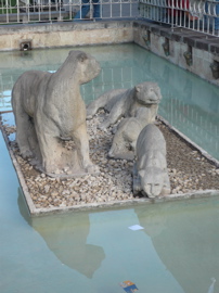 P1010469.JPG