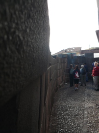 P1010474.JPG