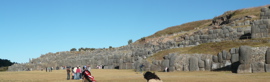 P1010486.JPG