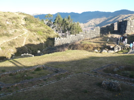 P1010491.JPG