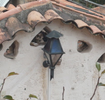 P1010851.JPG