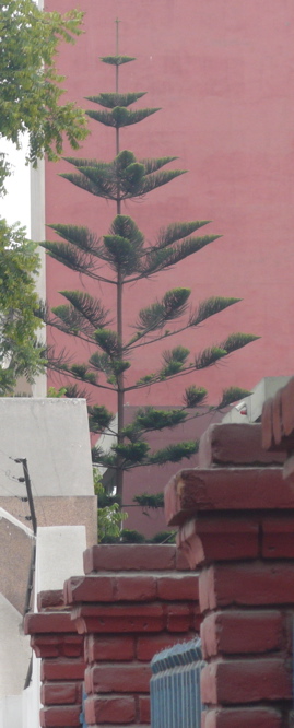 P1010411.JPG