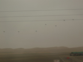 P1020029.JPG