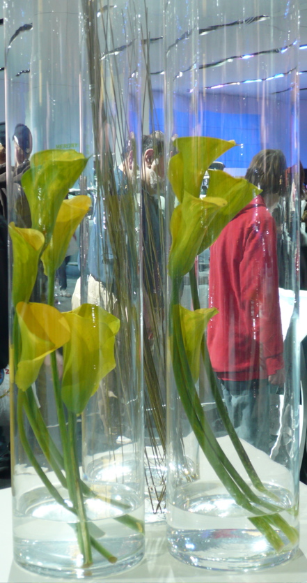 P1000333.JPG