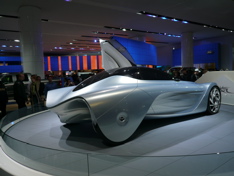 P1000332.JPG